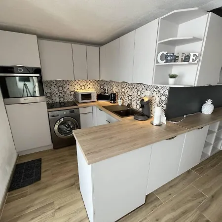 T3 Duplex Avec Terrasse, Parking Et Wi-fi Au Port - Fr-1-723-38 * Agde